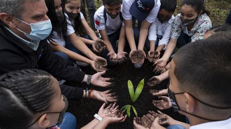 Sembrar 180 Millones De árboles El Gran Reto Para Colombia