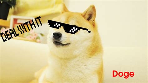 Doge Deal With It Hd Wallpaper Background Image 1920x1080 Id
