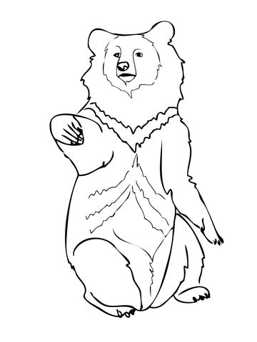 Free cliparts that you can download to you computer and use in your designs. Asia Black Bear coloring page | SuperColoring.com