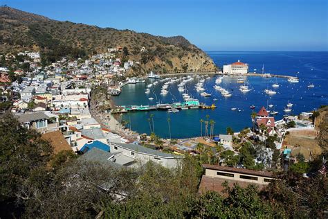 7 Best Things To Do In Catalina Island California Usa