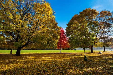 This Is When Fall Colours Will Peak In Ontario This Year