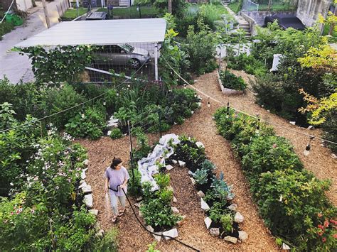 Tour Matt Lebons Backyard Food Forest — Tastemakers