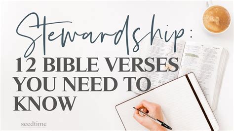 Stewardship 12 Bible Verses You Need To Know
