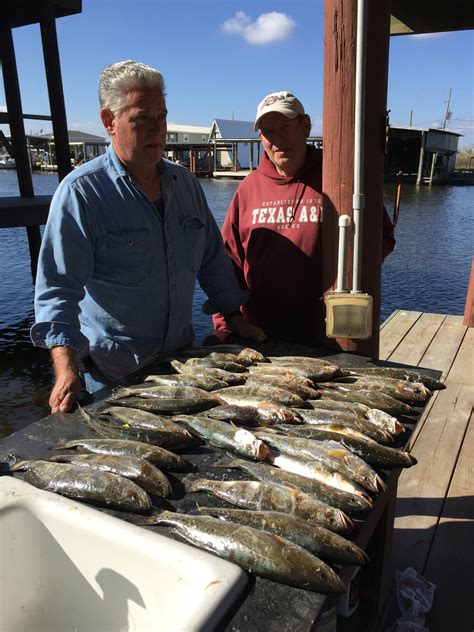 Maybe you would like to learn more about one of these? Bayou Log Cabins, Speckled Trout & Bull Red Fishing Charters