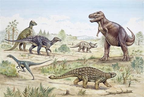 Upper Cretaceous Dinosaurs Photograph By Natural History Museum London