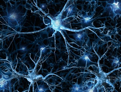 Neuropa Initiative Receives €36 Million To D Eurekalert