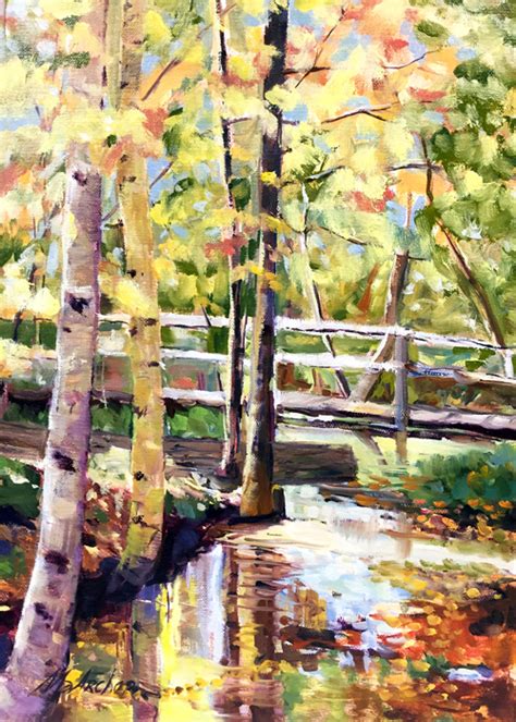 Roaring Brook In Autumn Greeting Card Mary Ann Archer Fine Art