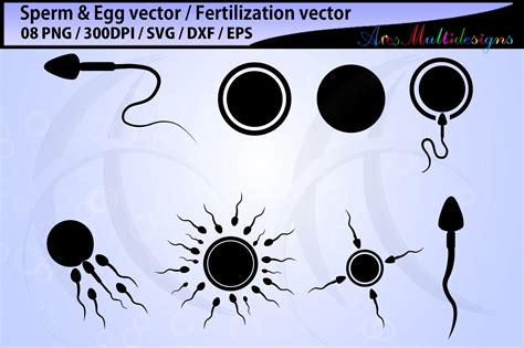 Sperm Svg Silhouette Egg Svg Silhouette Sperm And Egg Etsy