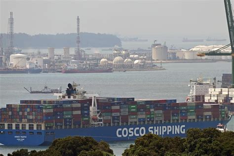 Singapores January Exports To China Collapsed In ‘very Worrying