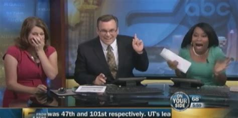 Tv Anchors Freak Out On Live Television When A Bat Dive Bombs The Set