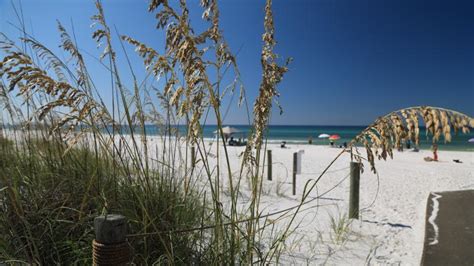 Beach cabins (reservations required months ahead!) are simple but have everything one might need, including nice screened porches with rocking chairs. Grayton Beach State Park | Florida State Parks