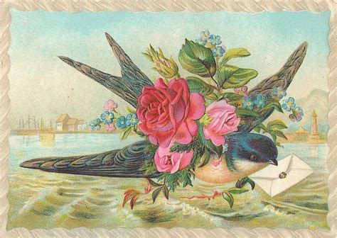 Victorian Bird Vintage Birds Bird Poster Bird Art