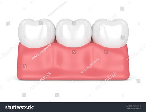 3d Render Teeth Gums Over White Stock Illustration 769307542
