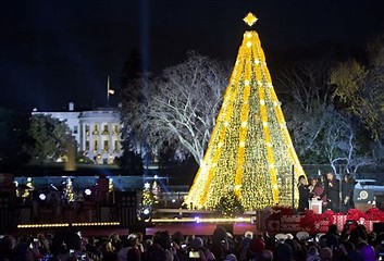 Image result for images national christmas tree decorated