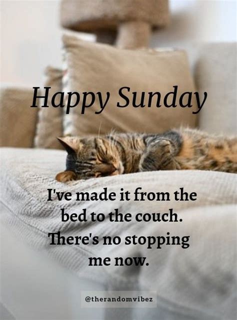 80 Best Sunday Memes Pics And Images For Funny Fundays Artofit