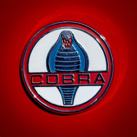 1965 Shelby Cobra Roadster 289 Emblem Photograph By Jill Reger Pixels