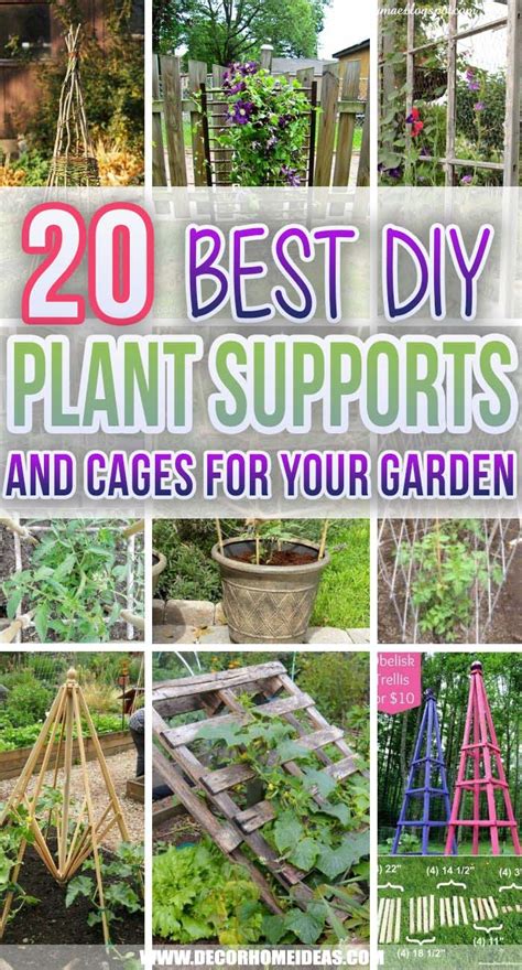 20 Amazing Diy Plant Supports And Cages To Make Your Summer Garden Thrive