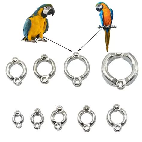 CLIP BIRD SUPPLIES Bird Leash Accessories Parrot Foot Rings Bird Leg Rings EUR 2 09 PicClick FR