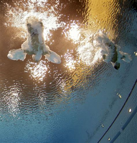 Olympics Roundup Dumais Dives Way To First Medal