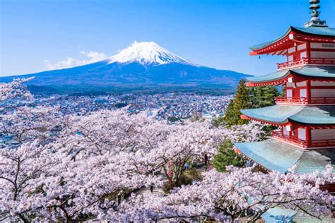 Tokyo (東京, tōkyō) is japan's capital and the world's most populous metropolis. Cheap Flights from Singapore to Tokyo | CheapTickets.sg