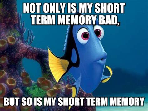 Hilarious Nemo Memes For Short Term Memory