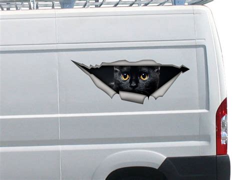 Black Cat Decal Funny Sticker Cat Car Stickerblack Cat Etsy