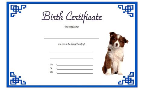 Puppy Birth Certificate Template - 10+ Special Editions