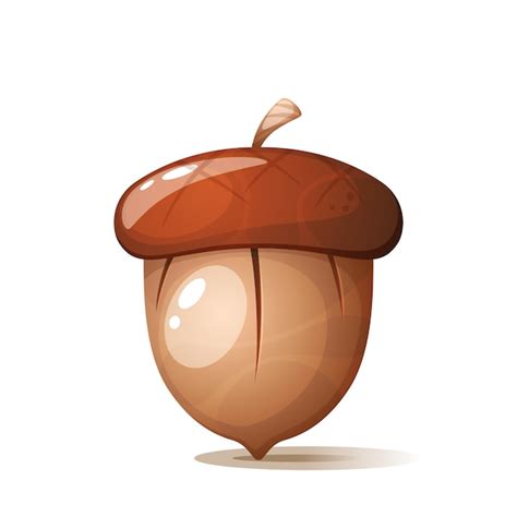 Premium Vector Cartoon Acorn