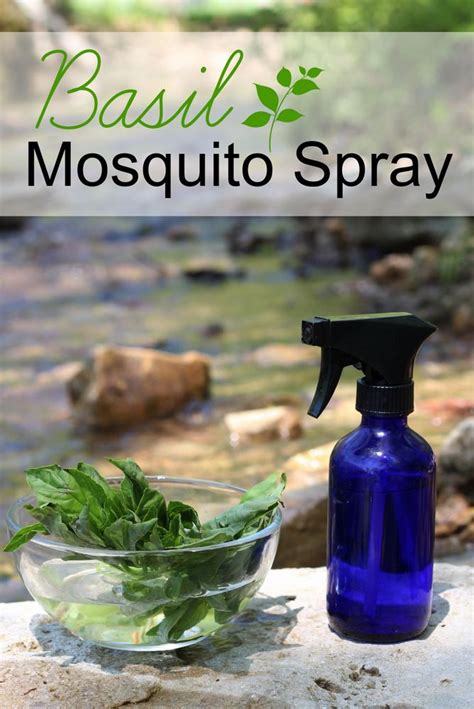 How to make homemade mosquito killer spray. Homemade Bug Spray Recipe | Mosquito spray, Mosquito repellent homemade, Insect spray