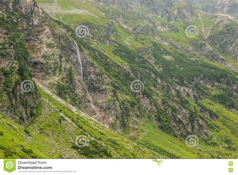 Alpine River Flowing From Mountains Stock Image Image Of Green