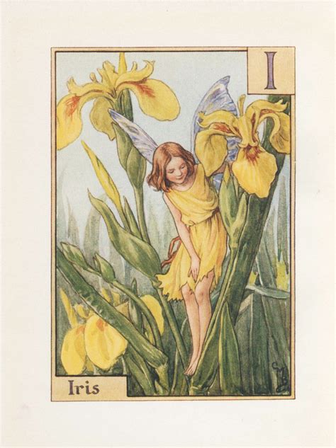 Alphabet Flower Fairies I For Iris Fairy Vintage Print C1930 By Cicely