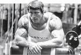 Arnold Bodybuilding Training Photos