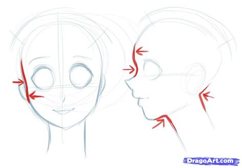 How To Draw Manga Heads Step By Step Anime Heads Anime Draw