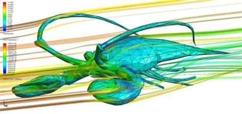 Aerodynamics Of Animals In Case You Wondered Aviation Humor