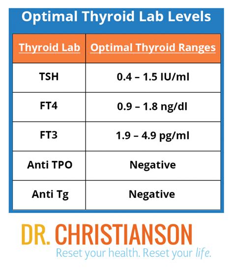 Guide Optimal Thyroid Levels And Testing Dr Christianson