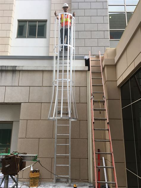 Custom Fixed Ladder with Safety Cage - Edwards Ornamental