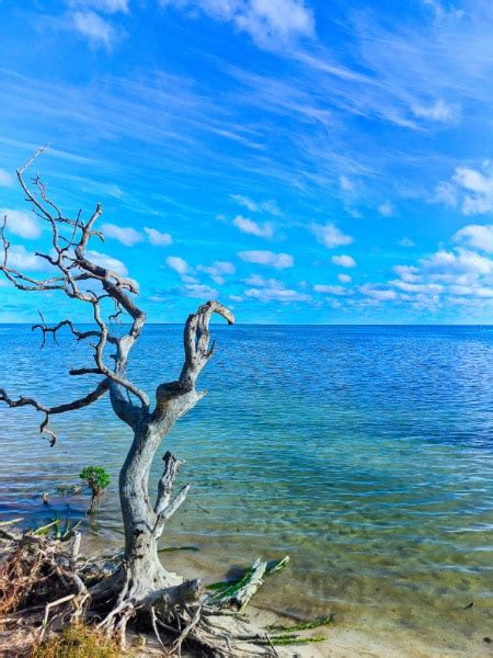 Shallow Waters At Annes Beach Islamorada Florida Keys 2020 1 2traveldads