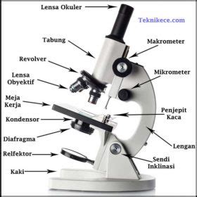 Bagian Bagian Mikroskop Beserta Fungsi Dan Penjelasannya