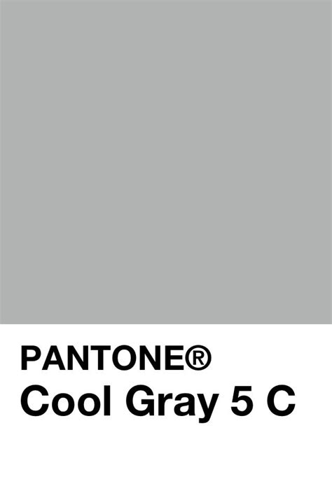 Pantone Cool Gray 5 C