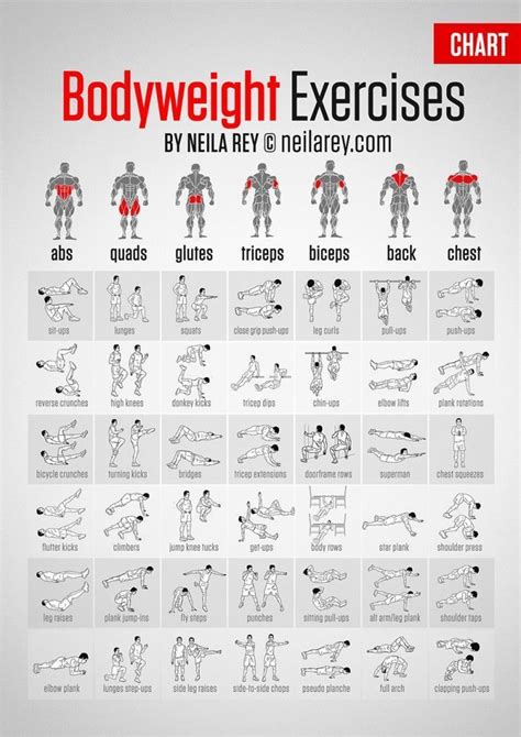 Best Exercises Targeting Each Muscle Group Download This A4