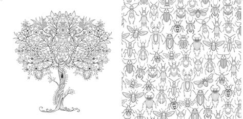 32 The Secret Garden Coloring Book Target Free Printable Coloring Pages