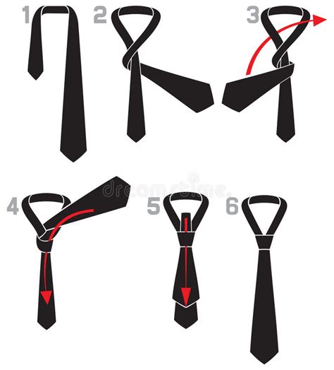 Tie And Knot Instructions Stock Vector Illustration Of