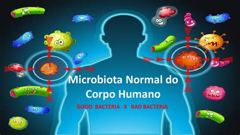 Microbiota Normal Do Corpo Humano Ensino