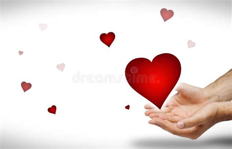 I Give You All My Love Stock Image Image 4051431