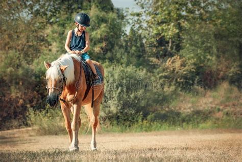 Little Boy Riding The Horse Stock Photo Image Of Jockey Friendship