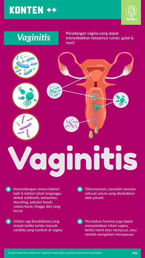 Vaginitis Infeksi Vagina Yang Kerap Jadi Perkara Tiap Wanita