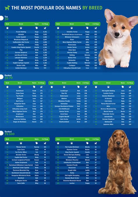 The Most Popular Pet Names