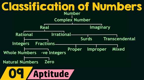 Classification Of Numbers Youtube
