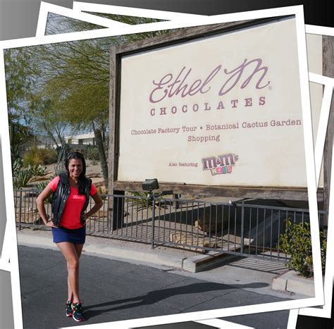 In the winter they have all the pretty lights in their cactus garden! Ethel M Chocolates - Super cute chocolate factory ...