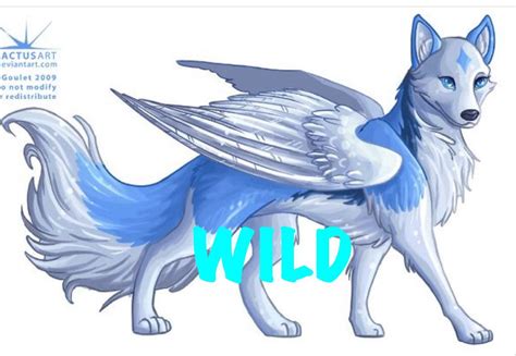 Angel Wolf Art I Dont Know Xd Cute Fantasy Creatures Mythical